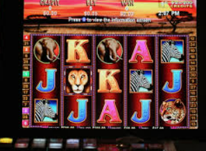 壹号电子娱乐app电脑免费版